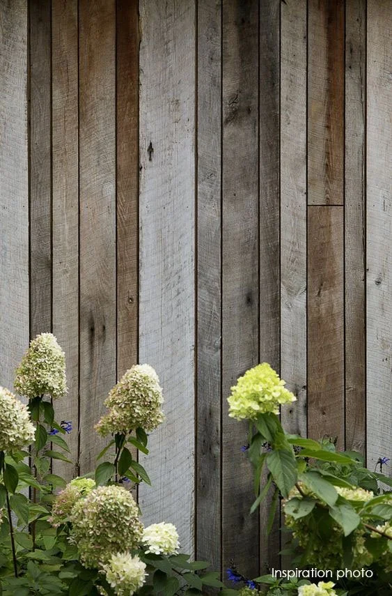 wall cladding wood.jpg