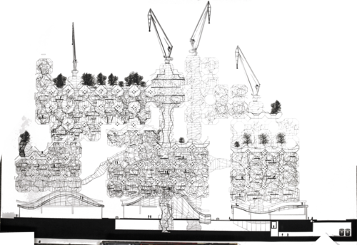 IMG_2963.png