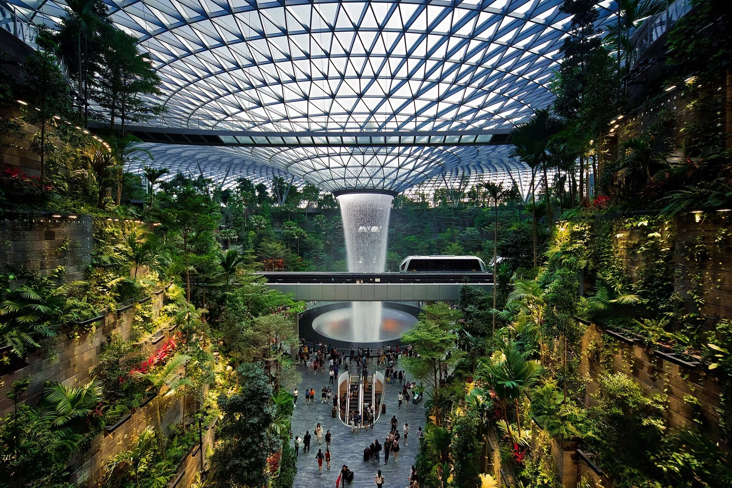 The Differences Between Biomimicry and Biophilic Design: Two Nature-Inspired Approaches