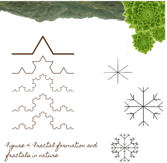 Biophilic Design
